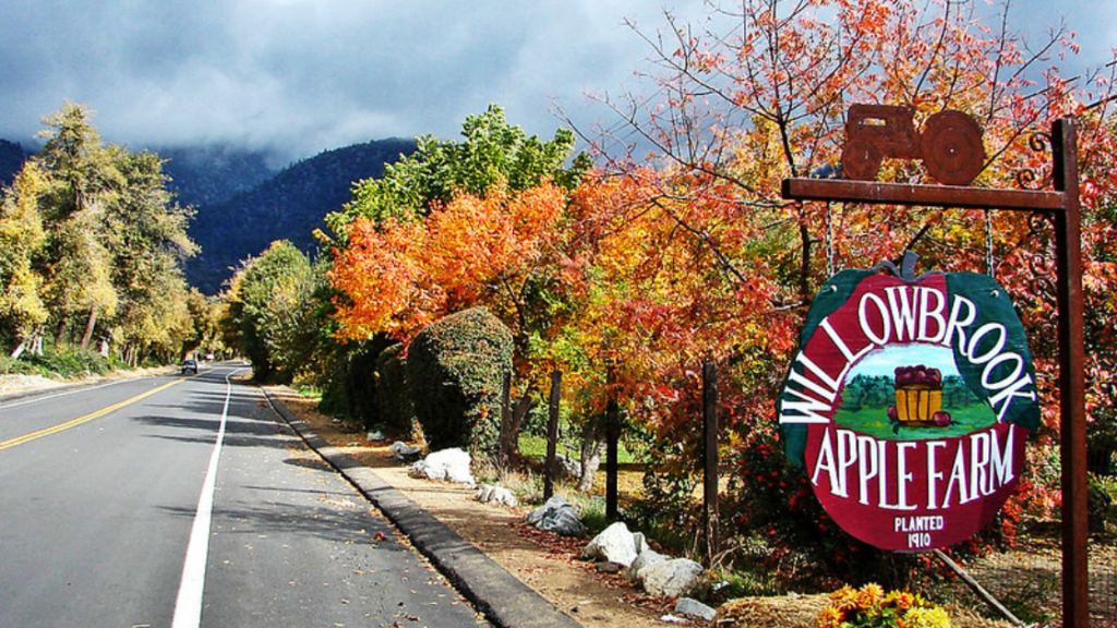 Where to go Apple Picking in SoCal this Fall