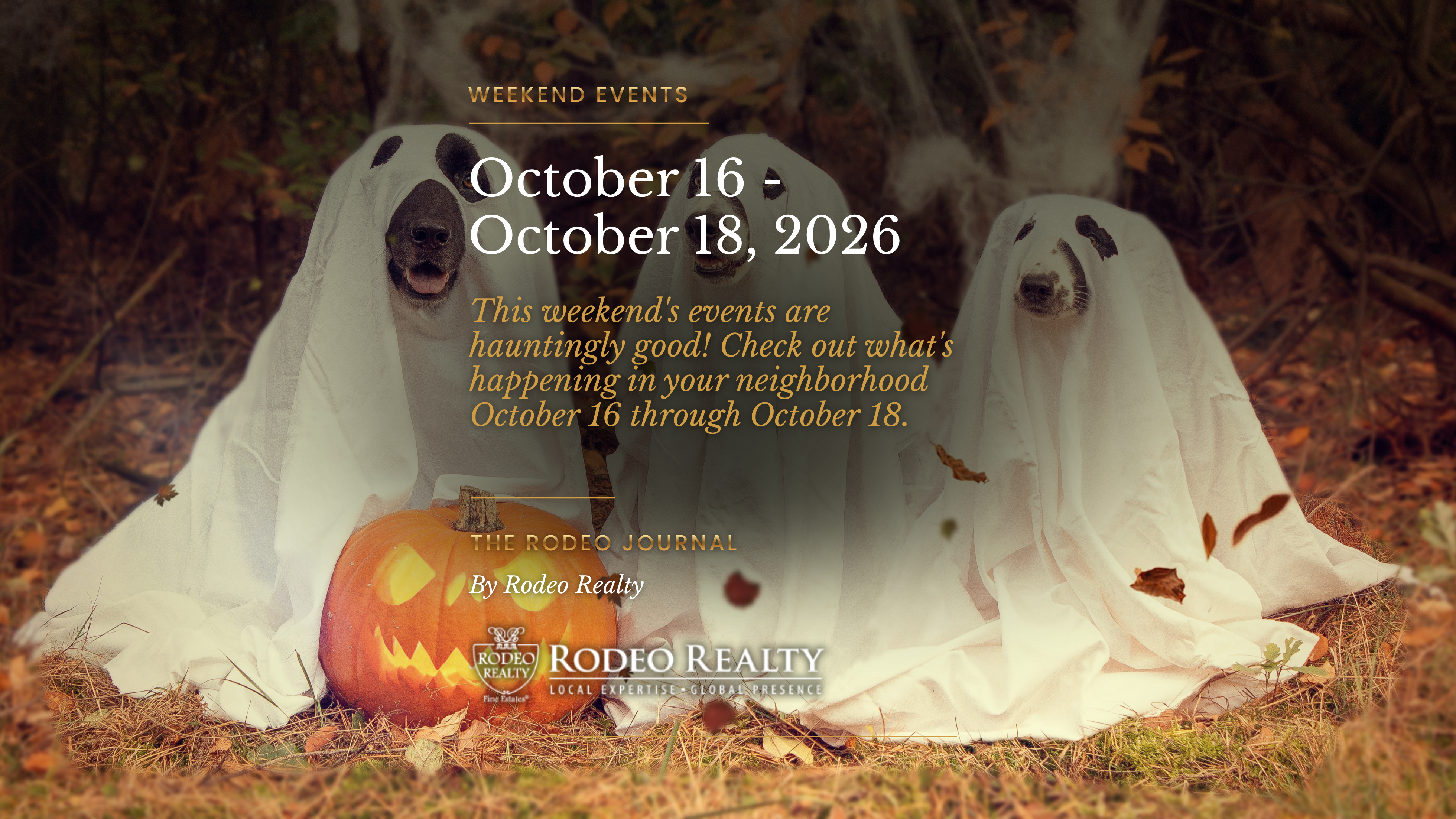 Weekend Events | October 16 – October 18