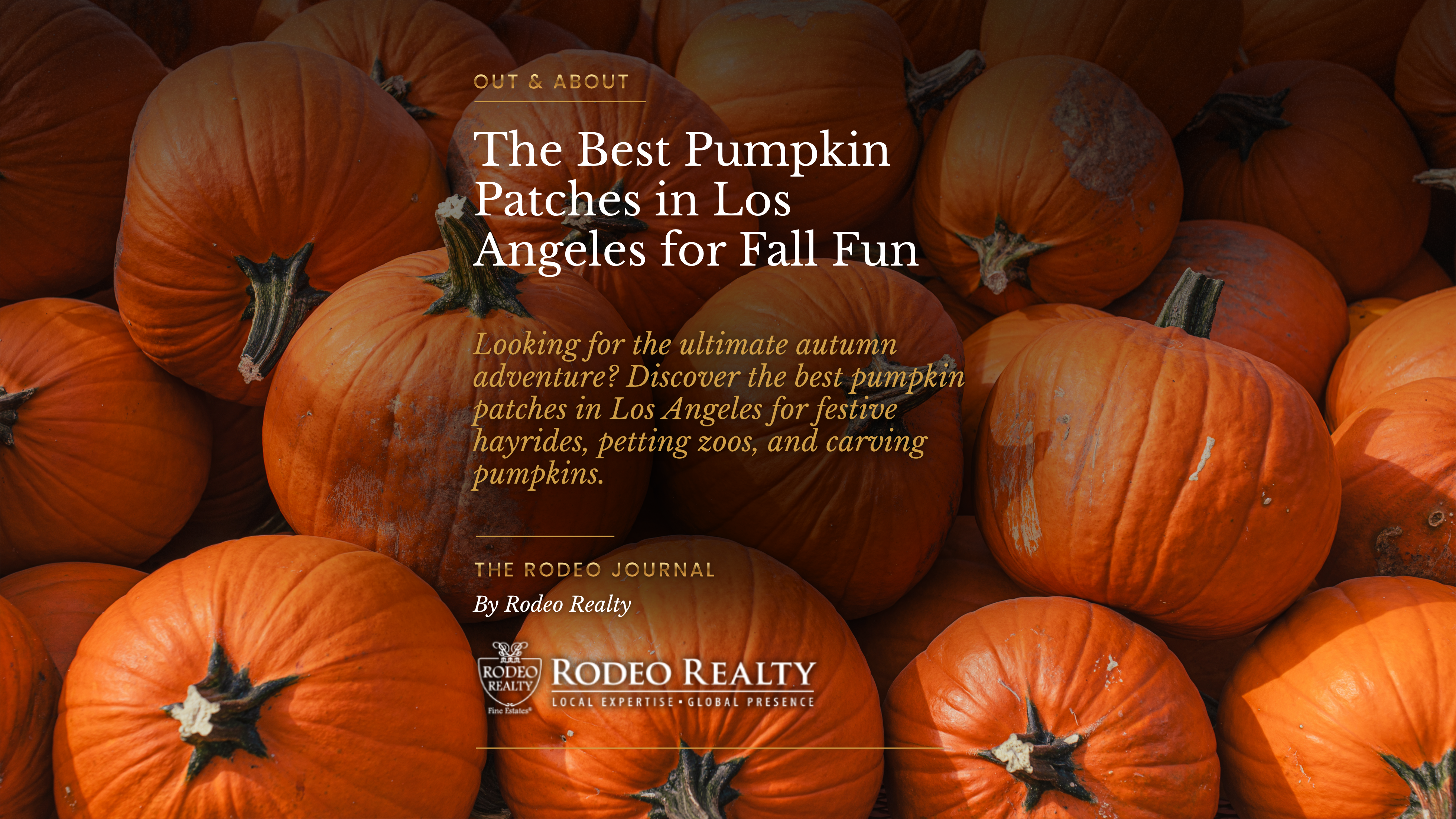 The Best Pumpkin Patches in Los Angeles for Fall Fun | Out & About